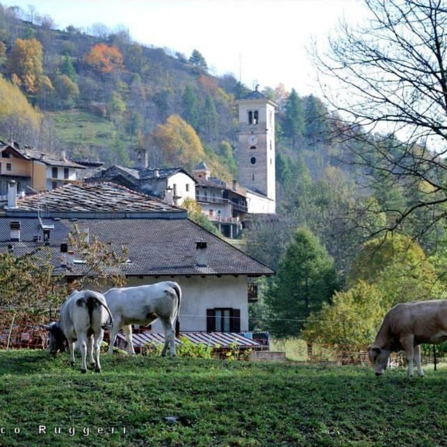 Agriturismo Il Mulino Delle Fucine Villa Casteldelfino Buitenkant foto